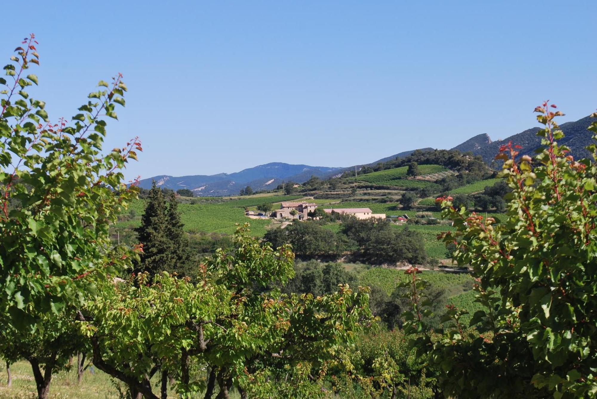 Domaine De Provensol Bed & Breakfast Venterol  Dış mekan fotoğraf