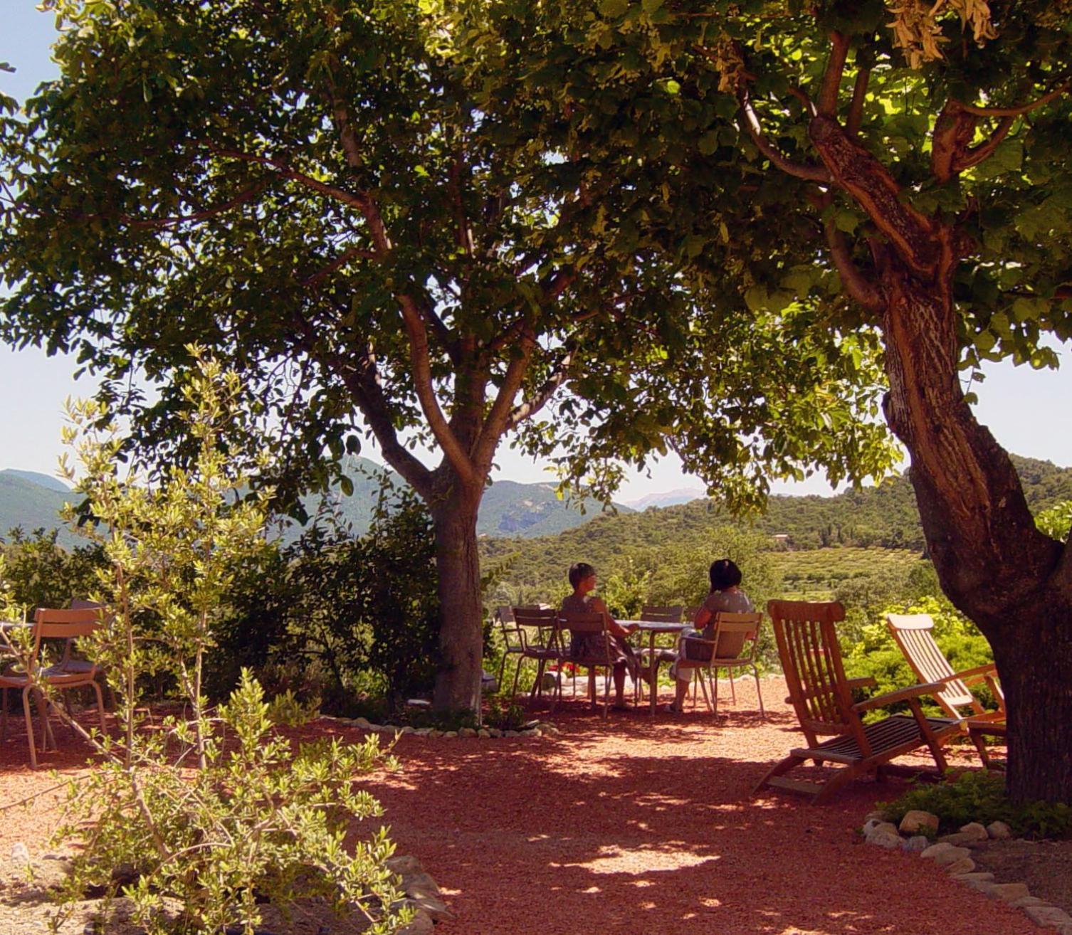Domaine De Provensol Bed & Breakfast Venterol  Dış mekan fotoğraf