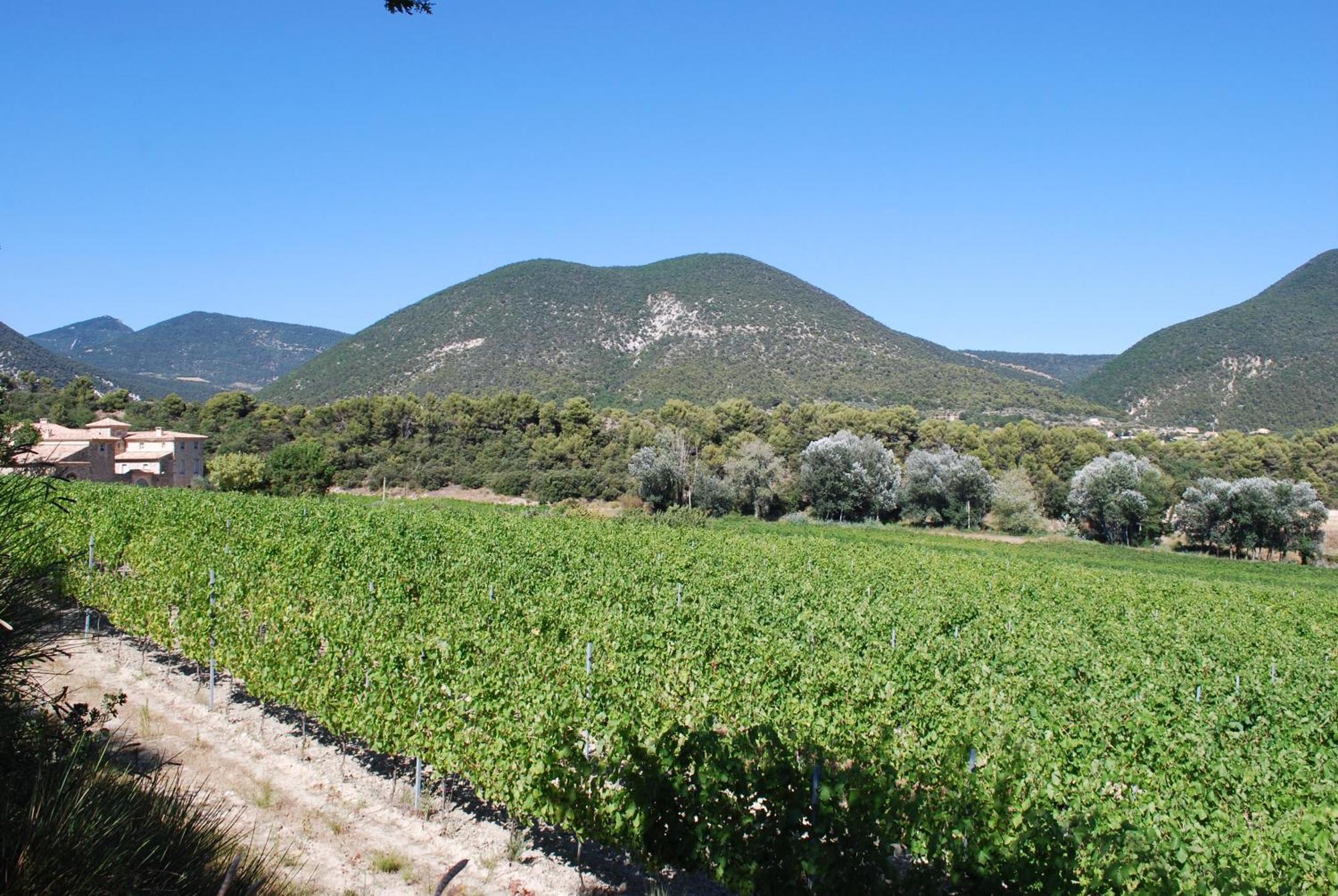 Domaine De Provensol Bed & Breakfast Venterol  Dış mekan fotoğraf