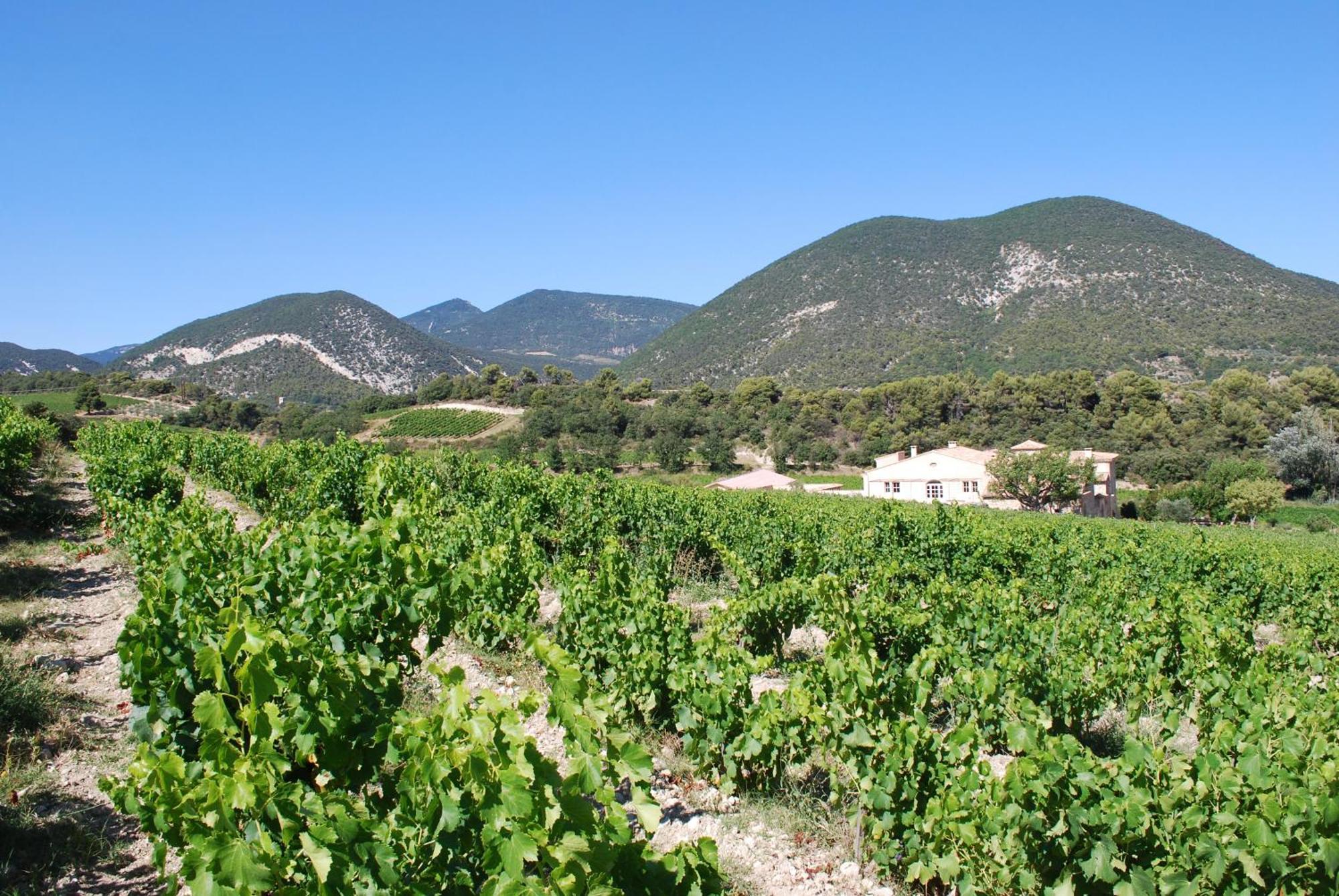 Domaine De Provensol Bed & Breakfast Venterol  Dış mekan fotoğraf