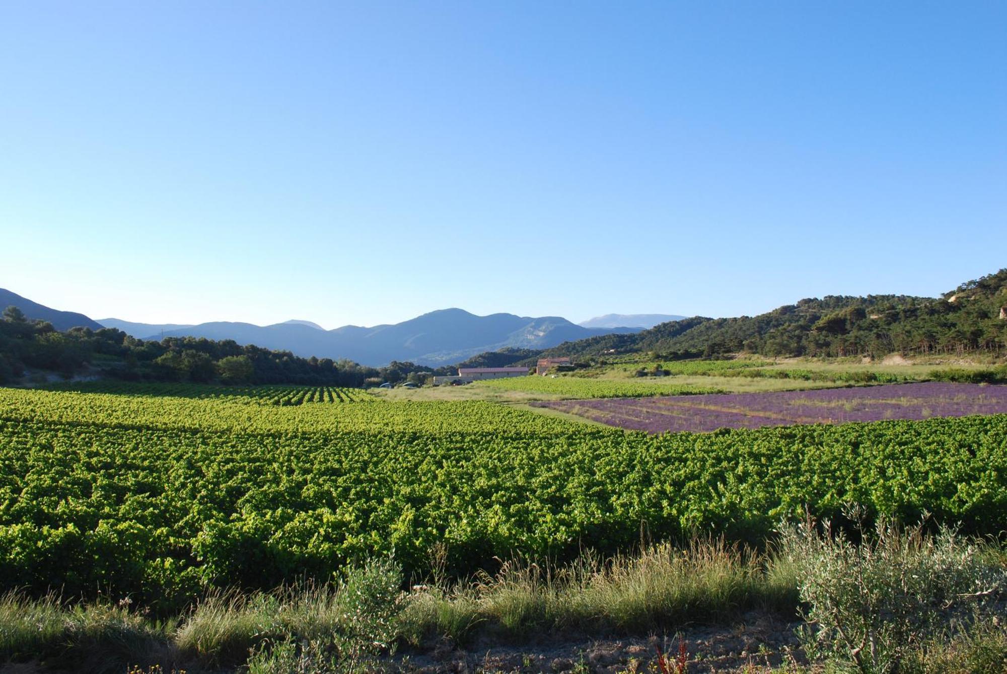 Domaine De Provensol Bed & Breakfast Venterol  Dış mekan fotoğraf