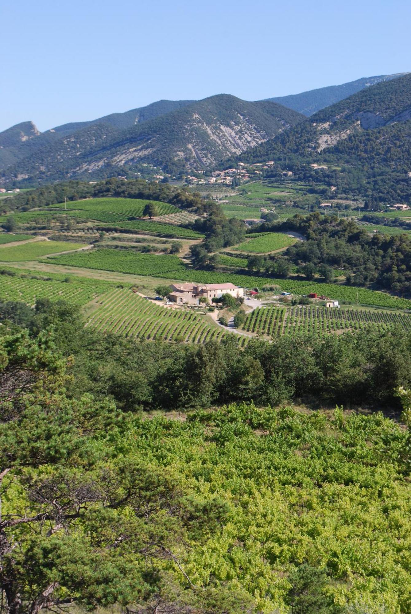 Domaine De Provensol Bed & Breakfast Venterol  Dış mekan fotoğraf