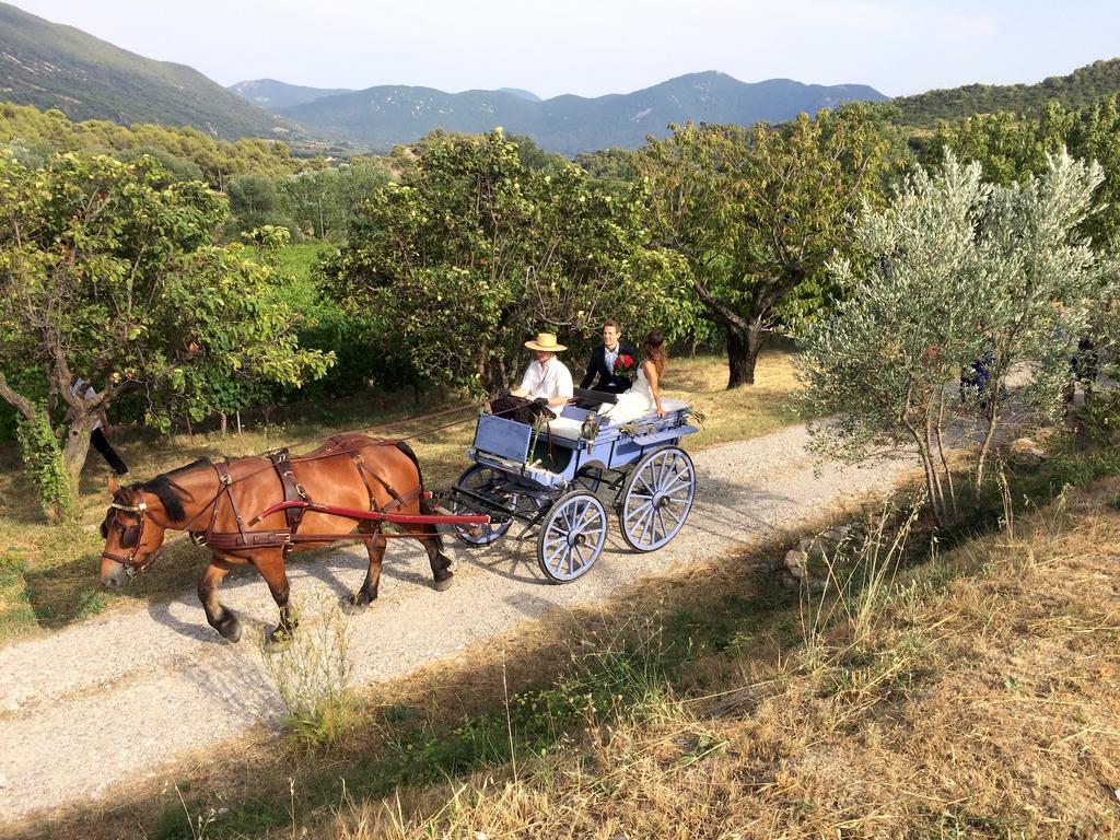 Domaine De Provensol Bed & Breakfast Venterol  Dış mekan fotoğraf